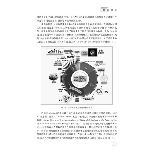 藻际微生物学导论/“藻际微生物学”系列教材/浙江省普通本科高校“十四五”重点立项建设教材/张晓玲,杨桥/浙江大学出版社 商品图3