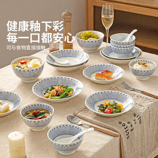 摩登主妇釉下彩中式盘子饭碗家用2026新款高颜值面碗汤碗陶瓷碗具 商品图1