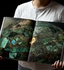 【微量】《玉文化与中华文明——中国历史研究院珍藏玉器精品》，16开函套精装,中国历史研究院主编，文物出版社2026年6月一版一印，定价：680，售价：544。 商品缩略图10