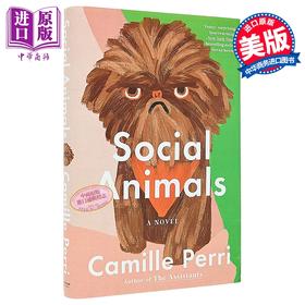 【中商原版】社会动物 英文原版 Social Animals Camille Perri 现当代文学 助理们 凯蒂遇见卡西迪作者