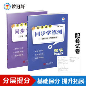 26版 同步学练测 数学 九年级全一册 成才之路