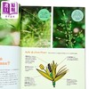 【中商原版】让我们研究植物 101条探索和理解植物的指南 英文原版 Lets Botanize 101 Ways Goulet Scott 商品缩略图2
