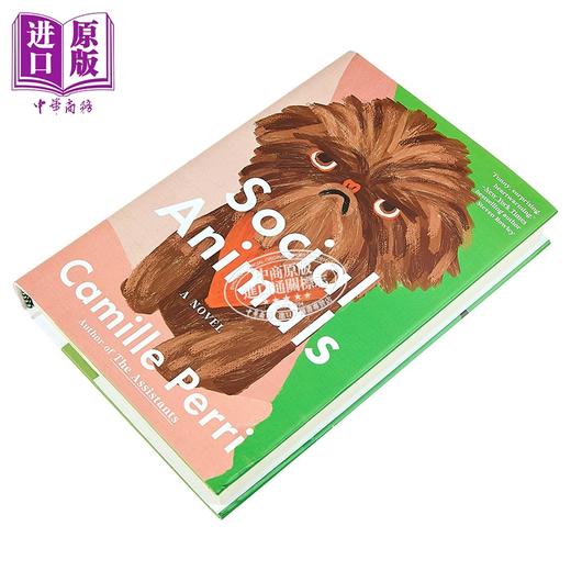 【中商原版】社会动物 英文原版 Social Animals Camille Perri 现当代文学 助理们 凯蒂遇见卡西迪作者 商品图1