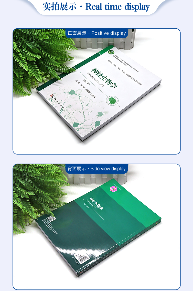 西医03_04.jpg
