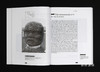 【法文原版】Archeologie Et Arts Precolombiens  La Mesoamerique  Manuel Ecole Du Louvre / 考古学与前哥伦布艺术：中美洲，卢浮 商品缩略图4