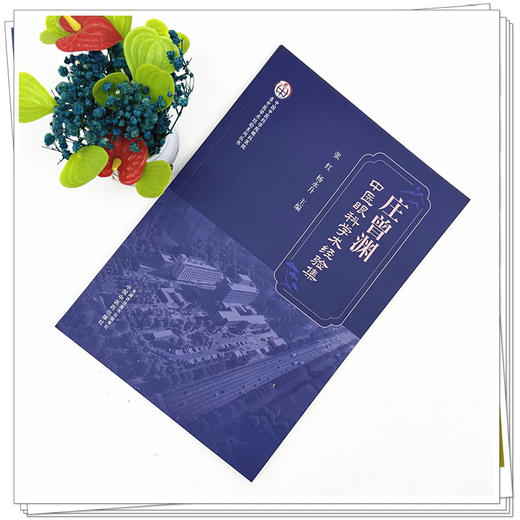 庄曾渊中医眼科学术经验集 张红 杨永升 主编 中国中医药出版社 商品图1