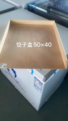 【LMSH】冰柜专用饺子50*40