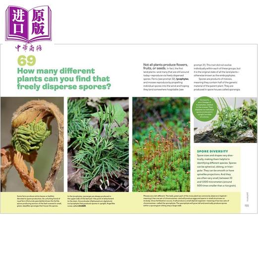 【中商原版】让我们研究植物 101条探索和理解植物的指南 英文原版 Lets Botanize 101 Ways Goulet Scott 商品图4