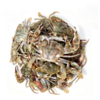 【鲜活】花盖蟹（1000±50g） 商品缩略图0