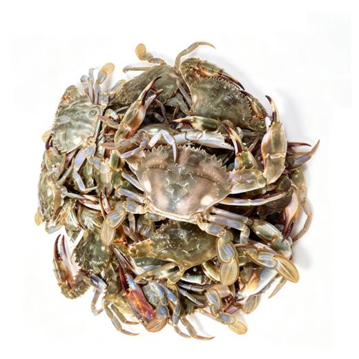 【鲜活】花盖蟹（1000±50g） 商品图0