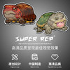 冰箱贴 龟⑩ 水龟半水龟主题 磁吸 Q版 卡通 爬宠爬虫周边 super rep超爬正版【48小时发货】 商品缩略图1