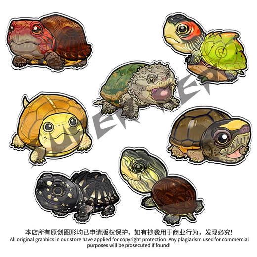 冰箱贴 龟⑩ 水龟半水龟主题 磁吸 Q版 卡通 爬宠爬虫周边 super rep超爬正版【48小时发货】 商品图3