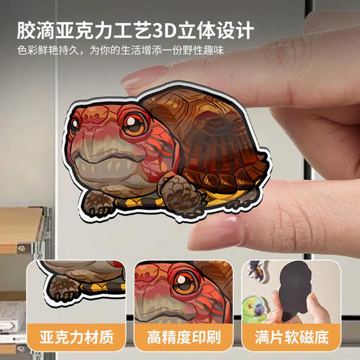 冰箱贴 龟⑩ 水龟半水龟主题 磁吸 Q版 卡通 爬宠爬虫周边 super rep超爬正版【48小时发货】 商品图2