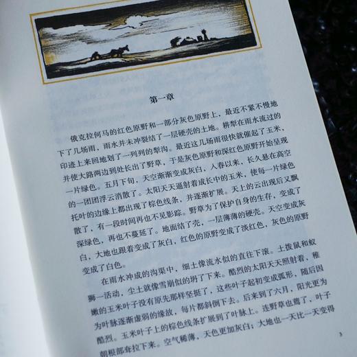 【插图珍藏版】愤怒的葡萄 商品图5