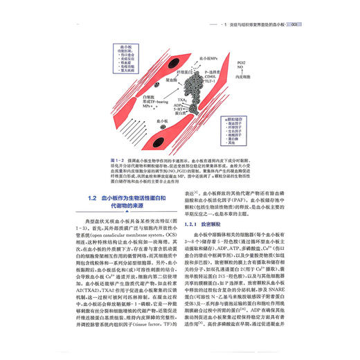 富血小板血浆：骨科与运动医学应用 贾学文 沈炜亮 周敬滨 李箭 聚焦富血小板血浆(PRP)的基础知识与临床应用 上海科学技术出版社 商品图4