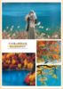 【国旅】九寨圣境纯玩3日游（九寨+黄龙） 商品缩略图4
