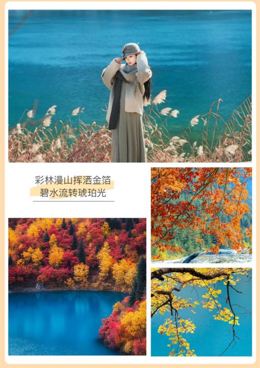 【国旅】九寨圣境纯玩3日游（九寨+黄龙） 商品图4