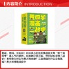 黄同学漫画二战史（全4册） 商品缩略图2