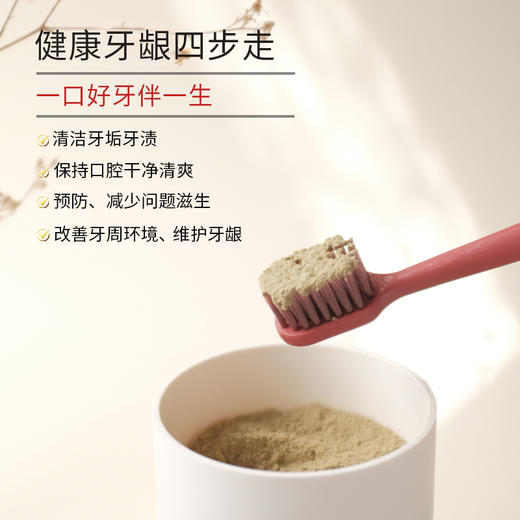 答摩优品 | 皓齿安植物洁牙粉  陈修园百年固齿方方  0添加0化工  养护、养护牙齿 商品图5
