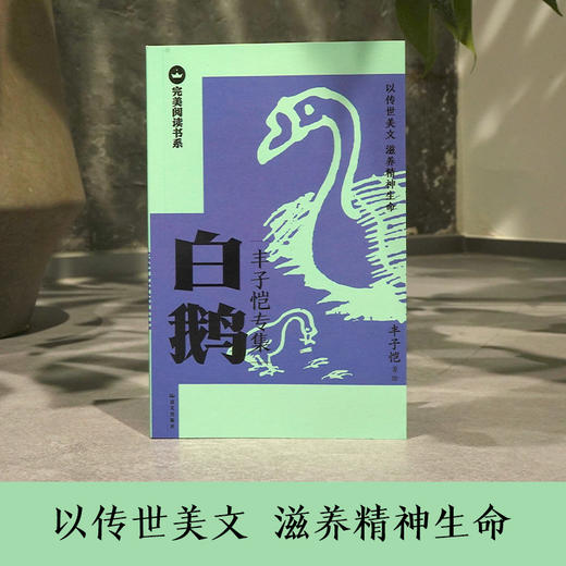 【完美阅读书系·第1辑】白鹅：丰子恺专集 商品图2