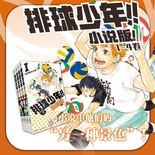 排球少年!!小说版!前篇 商品图0