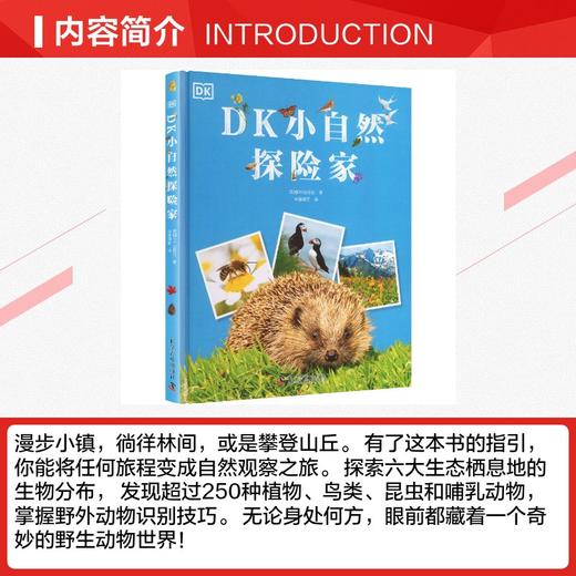 DK小自然探险家 商品图2