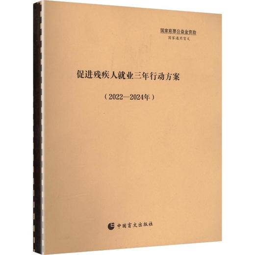 促进残疾人就业三年行为方案 商品图0