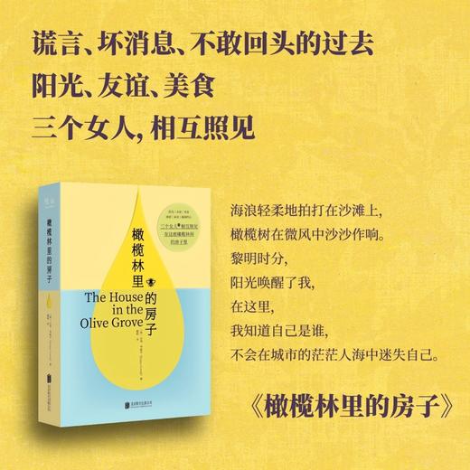 橄榄林里的房子 商品图2