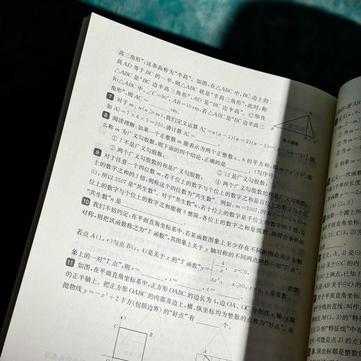 2027挑战压轴题 中考数学 马学斌 精讲解读篇 强化训练篇 商品图7