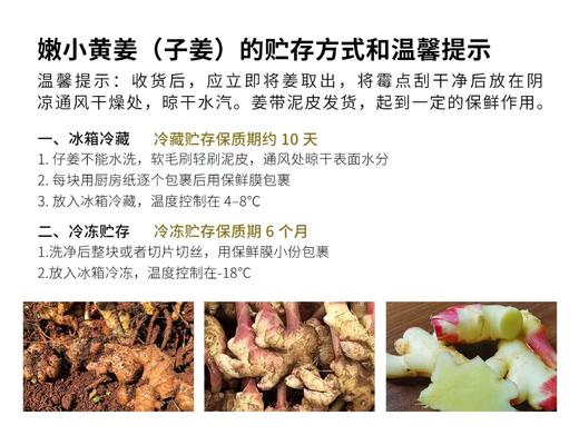有机小黄姜|梓盟 商品图12