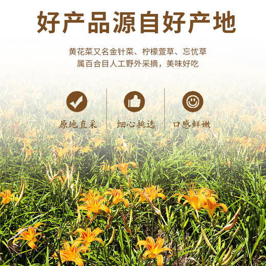 【根根甄选 自然晾晒】袋鼠小布 干黄花菜 当季嫩花采摘 保留原生风味 80g/袋 商品图7