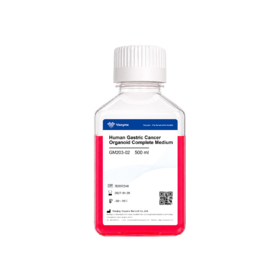 Human Gastric Cancer Organoid Complete Medium