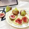 云南无花果（芭劳奈、格莱斯、斯特拉） 商品缩略图7