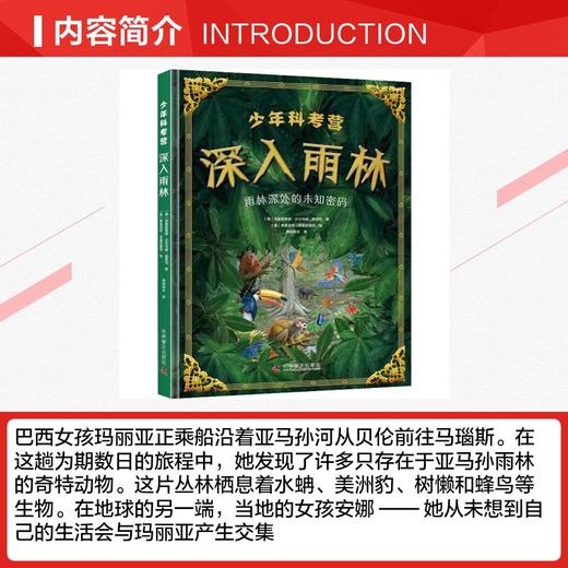 少年科考营:深入雨林 商品图2
