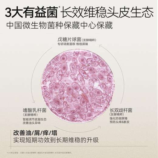 淘米水头皮护理组合 非遗红瑶米精华 72小时控油滋润型可选 秋冬减少毛躁 长发小寨洗发水护发素发膜套组 商品图4