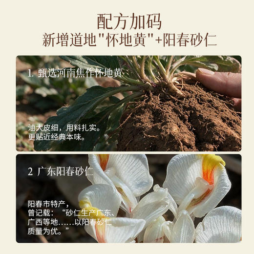 【爆款推荐】玫红四物草本植物饮 2.0酶解版 四物汤  当归桃仁熟地黄姜黄 养回规律姨妈 商品图3