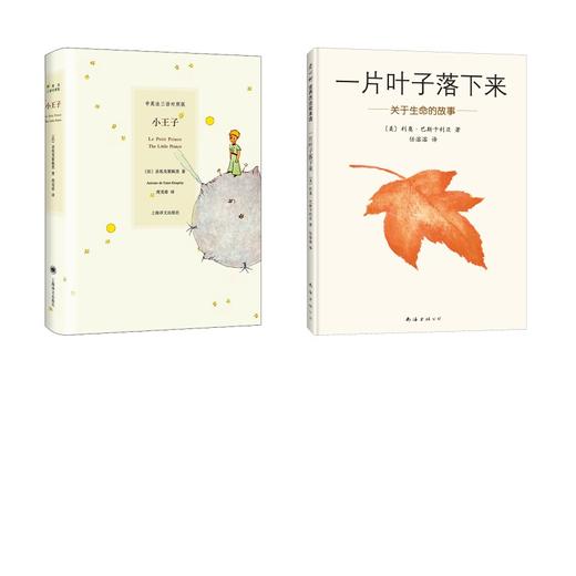 小王子+一片叶子落下来 商品图0