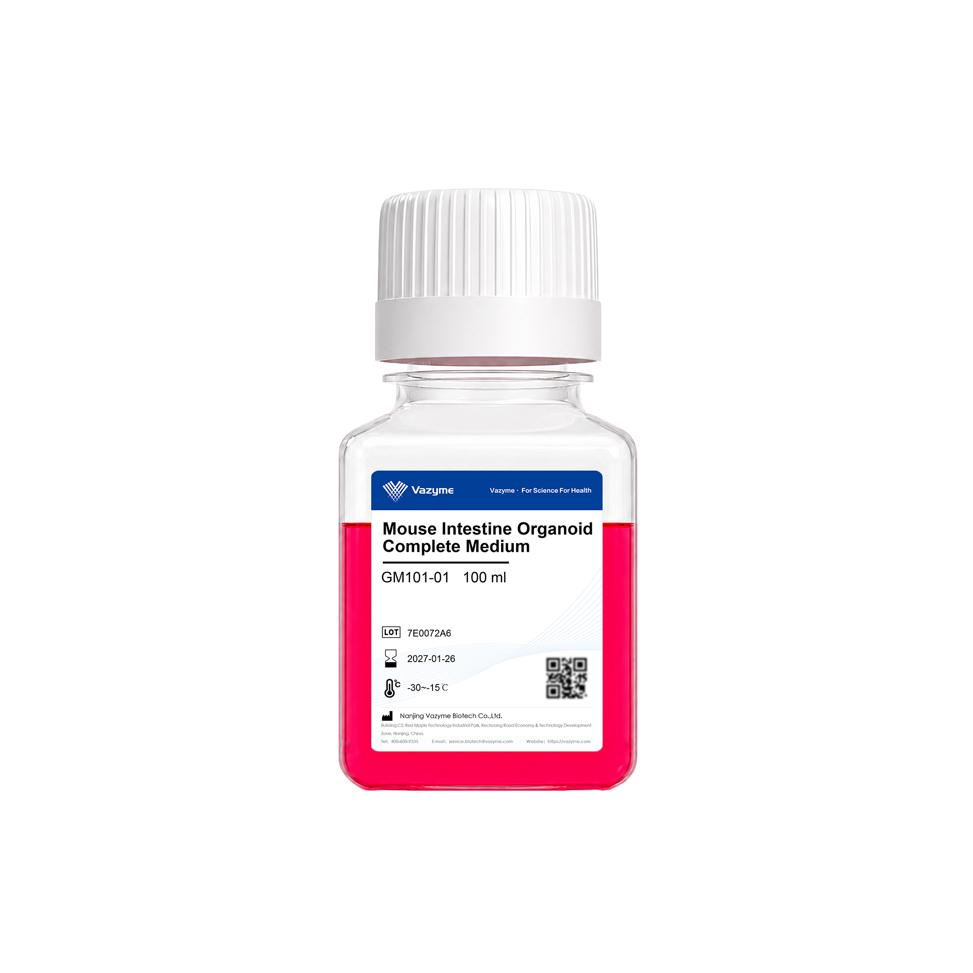 Mouse Intestine Organoid Complete Medium