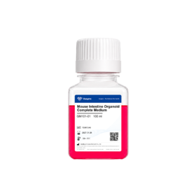 Mouse Intestine Organoid Complete Medium