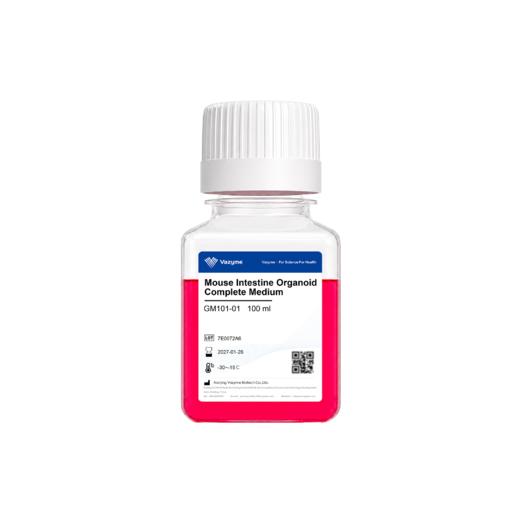 Mouse Intestine Organoid Complete Medium 商品图0