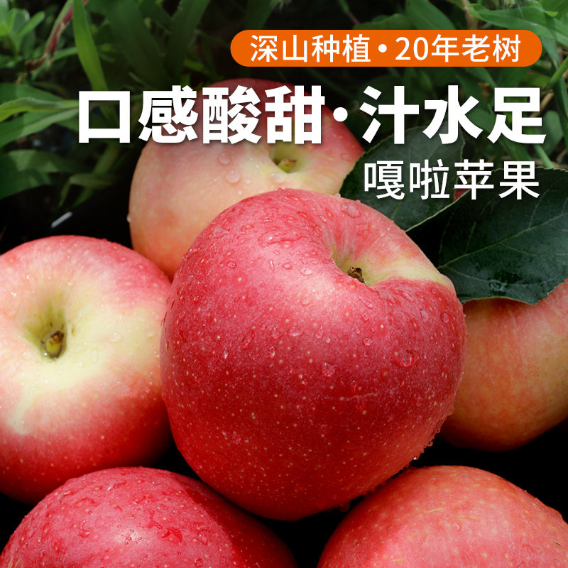 安心优选 2026年新鲜嘎啦苹果 包邮 口感沙脆偏面 汁水足 新鲜水果