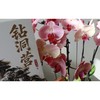 钻洞营/段长河 商品缩略图1
