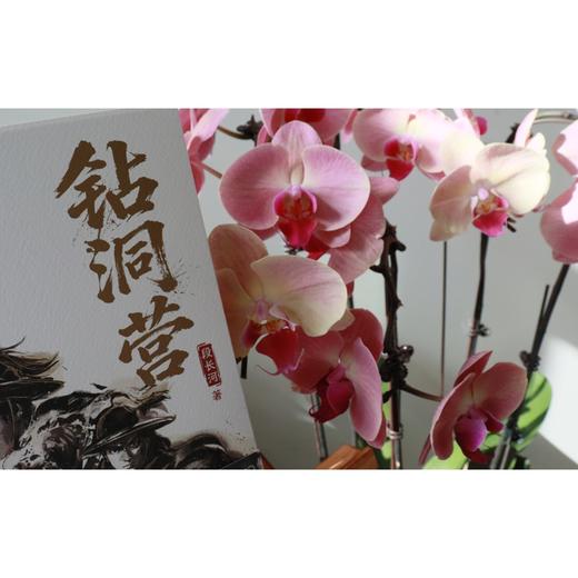 钻洞营/段长河 商品图1