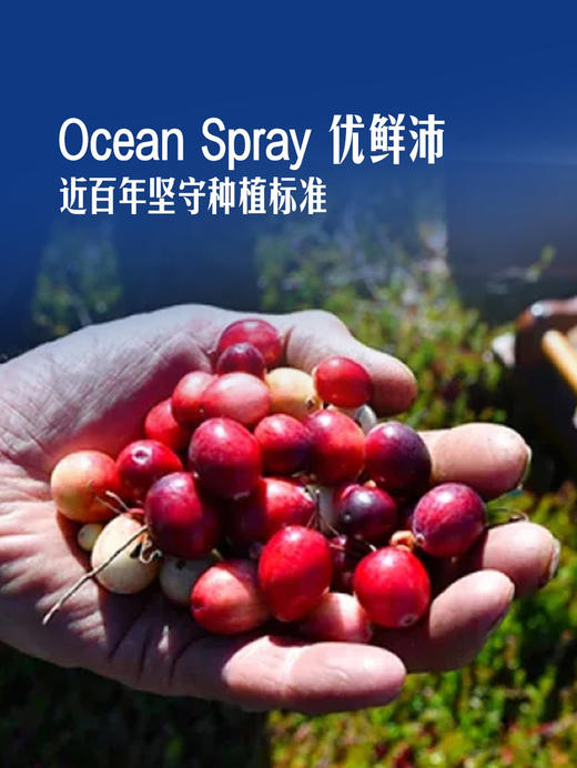 MM 山姆 Ocean Spray澳大利亚进口 经典蔓越莓味混合果汁饮料 1.5L*1/2瓶 商品图2