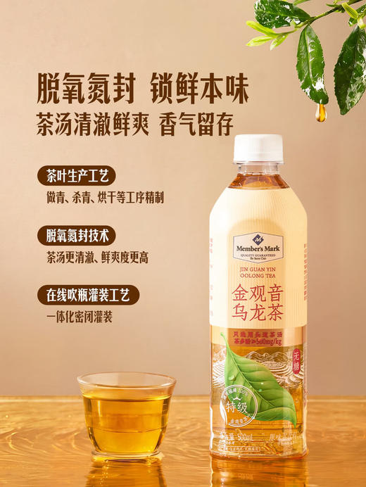 Member's Mark 金观音乌龙茶 500ml*8/15瓶 商品图5