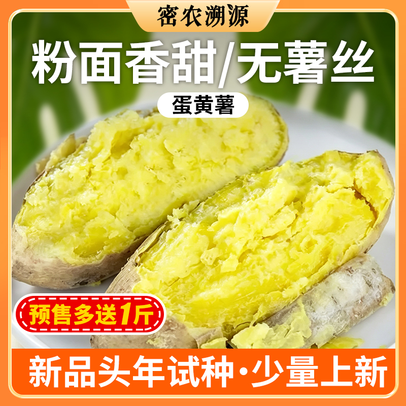 密云新鲜现刨蛋黄薯包邮 白皮黄心板栗薯 香甜粉糯无丝 沙地种植农家地瓜