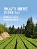 Member's Mark 金观音乌龙茶 500ml*8/15瓶 商品缩略图2