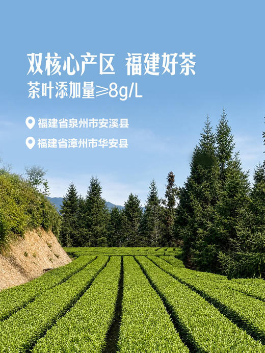 Member's Mark 金观音乌龙茶 500ml*8/15瓶 商品图2