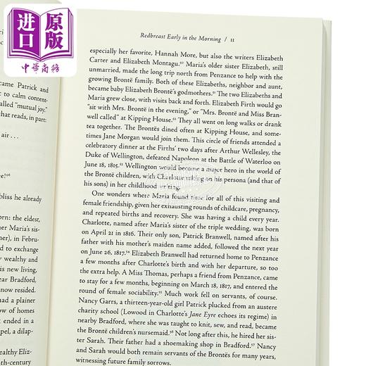 【中商原版】黑暗之夜 艾米莉 勃朗特的一生 英文原版 This Dark Night Emily Bronte a Life Deborah Lutz 商品图2