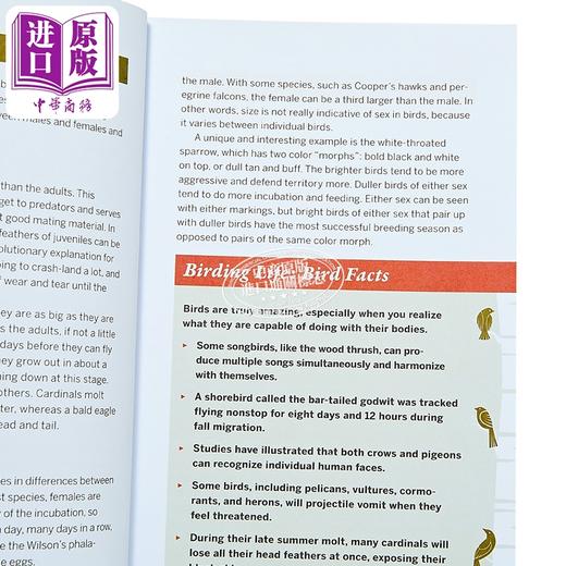 【中商原版】北美观鸟初学者 150个物种的实地记录 North American Bird Watching for Beginners 英文原版 Sharon Stiteler 商品图2